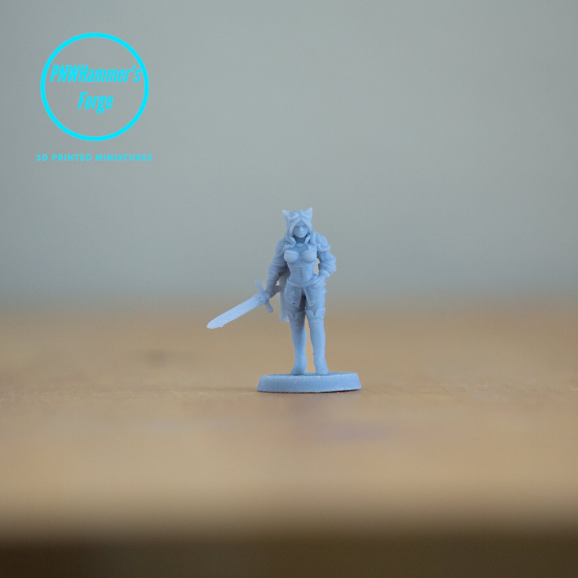 Ambar - Tabaxi Female - Soldier - Warrior - D&D - Sword - TTRPG - 32mm Miniature - Pathfinder - Unpainted