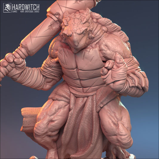 Male Tortle Barbarian for TTRPG by HardWitch Games - Agost Imakh - Pathfinder - D&D - TTRPG - Gift for Gamers