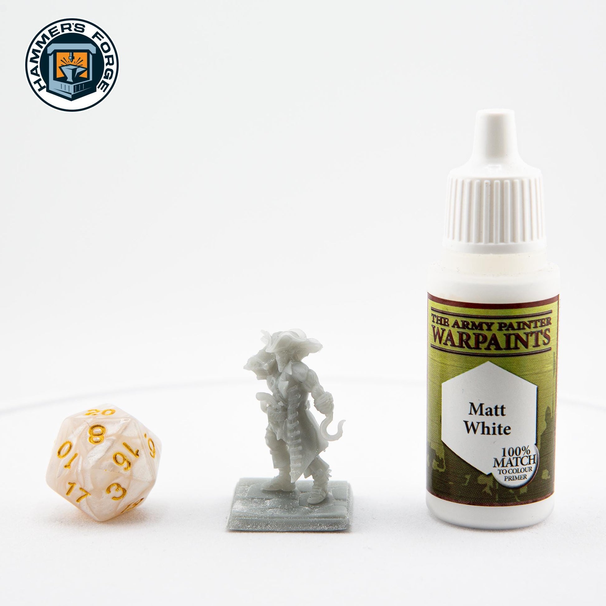 Human Male Pirate - NPC - TTRPG - 28mm Miniature - D&D - Pathfinder - Unpainted - Heroes and Beasts